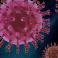 Corona-Virus: Angriff auf spanische Forschungseinrichtungen (Bild: Pixabay/ Piro) 