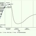 Hype Cycle for Emerging Technologies 2023 (© Gartner)