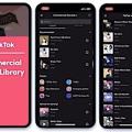 Musik auf Tiktok: Labels wollen vom Hype der Plattform profitieren (Foto: tiktok.com)