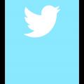 Twitter bannt Finanzseite Zero Hedge nach Coronavirus-Bericht (Logo: Twitter) 